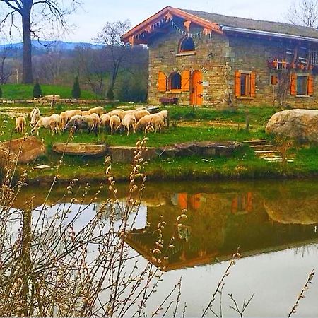 Cabana Casa De Piatra, De La Mara Deseşti Eksteriør bilde