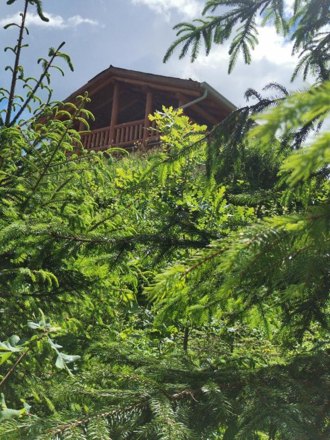 Cabana Casa De Piatra, De La Mara Deseşti Eksteriør bilde
