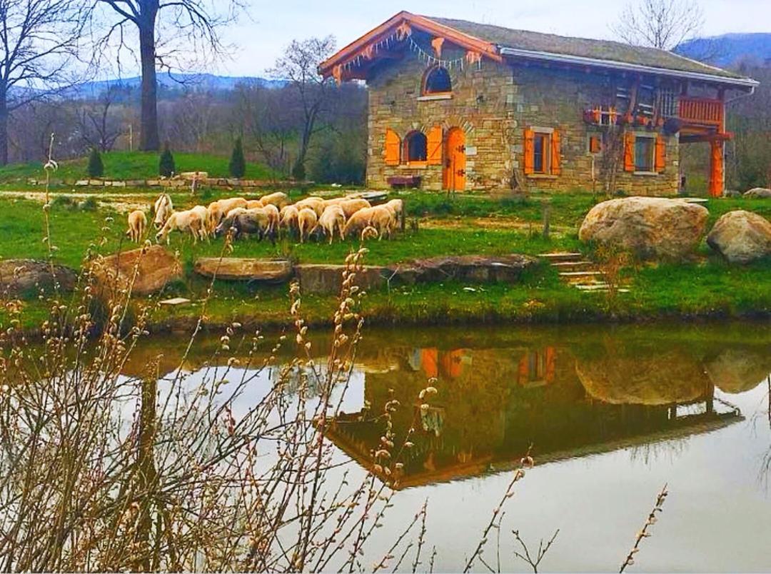 Cabana Casa De Piatra, De La Mara Deseşti Eksteriør bilde